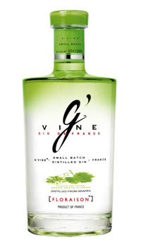 gvine