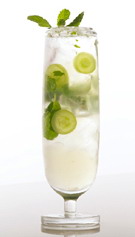 Mojito con G'Vine