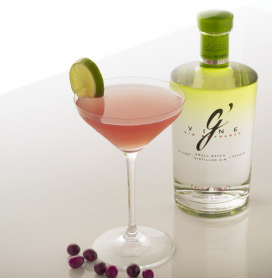 gvine-cosmo
